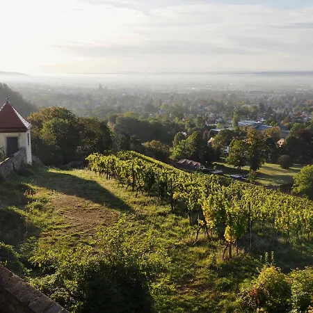 Wohlfuehl-apartment Am Loesnitzgrund Apartman Radebeul
